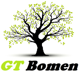 logo GT Bomen
